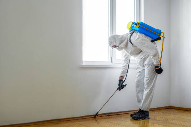 Best Bed Bug Extermination  in Wood River, IL